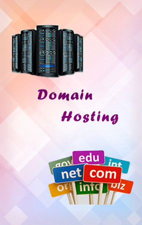 domain hosting walajabad